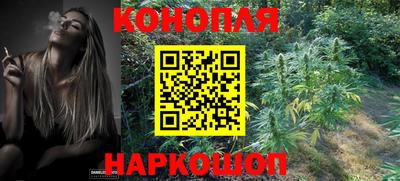 первитин Заводоуковск