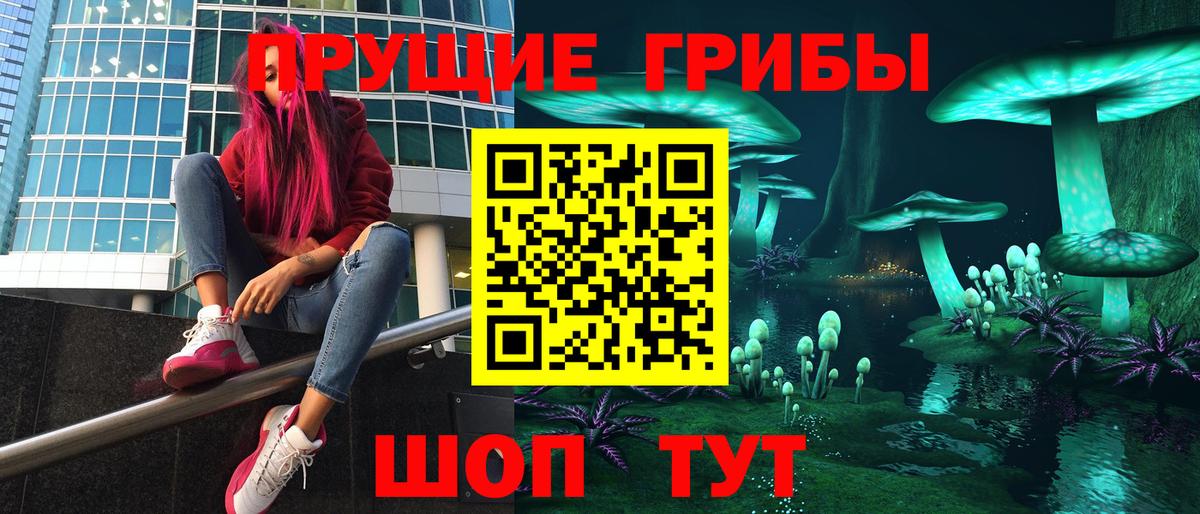 Малгобек  Галлюциногенные грибы GOLDEN TEACHER  Вход с VPN 