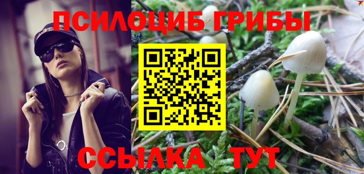 Псилоцибиновые грибы мухоморы Малгобек